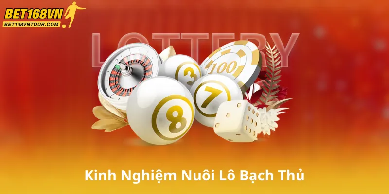 Kinh Nghiệm Nuôi Lô Bạch Thủ Từ Cao Thủ