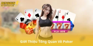 Giới Thiệu Tổng Quan Về Poker